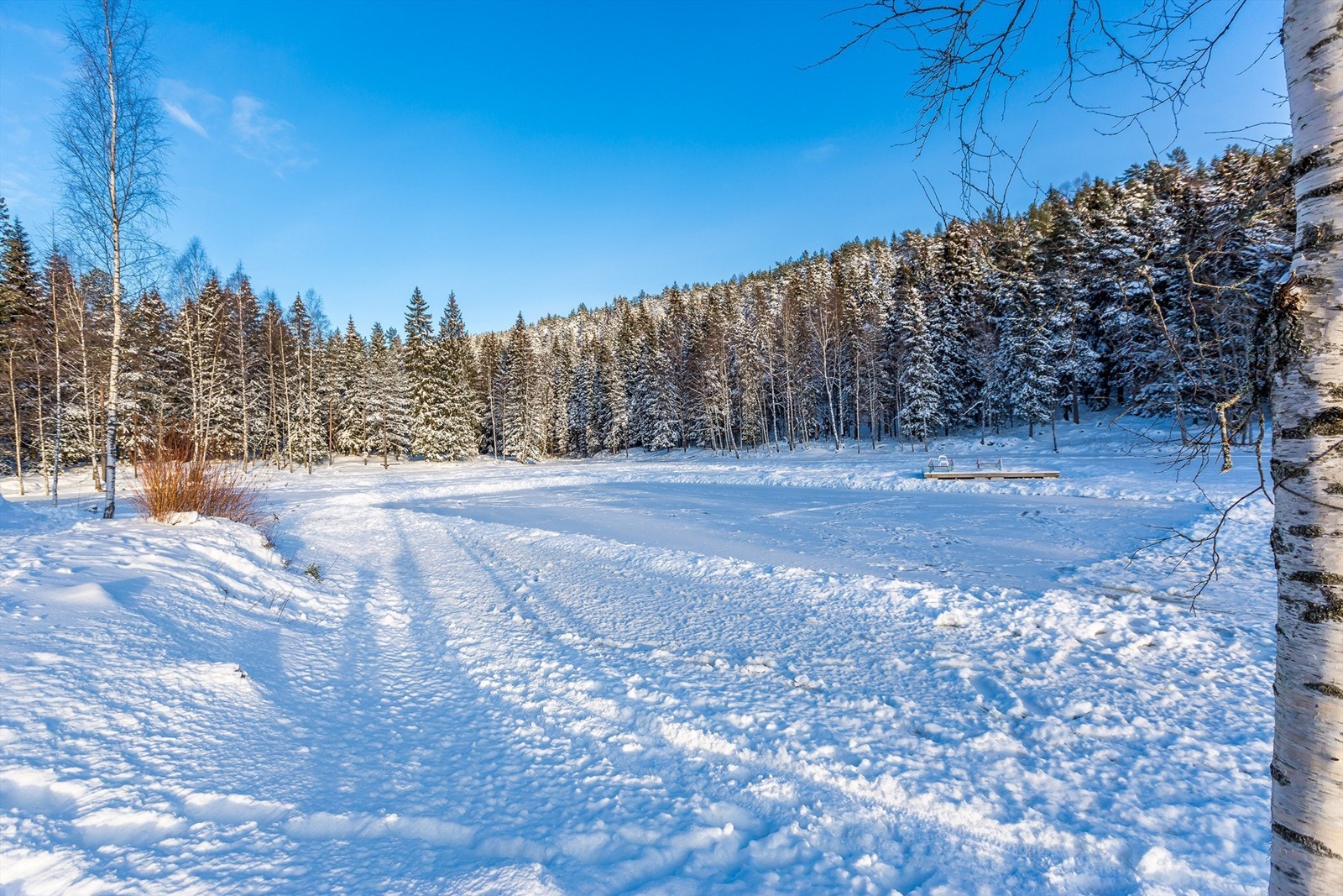 Isdammen med skøytebane for de minste... Galleribilde