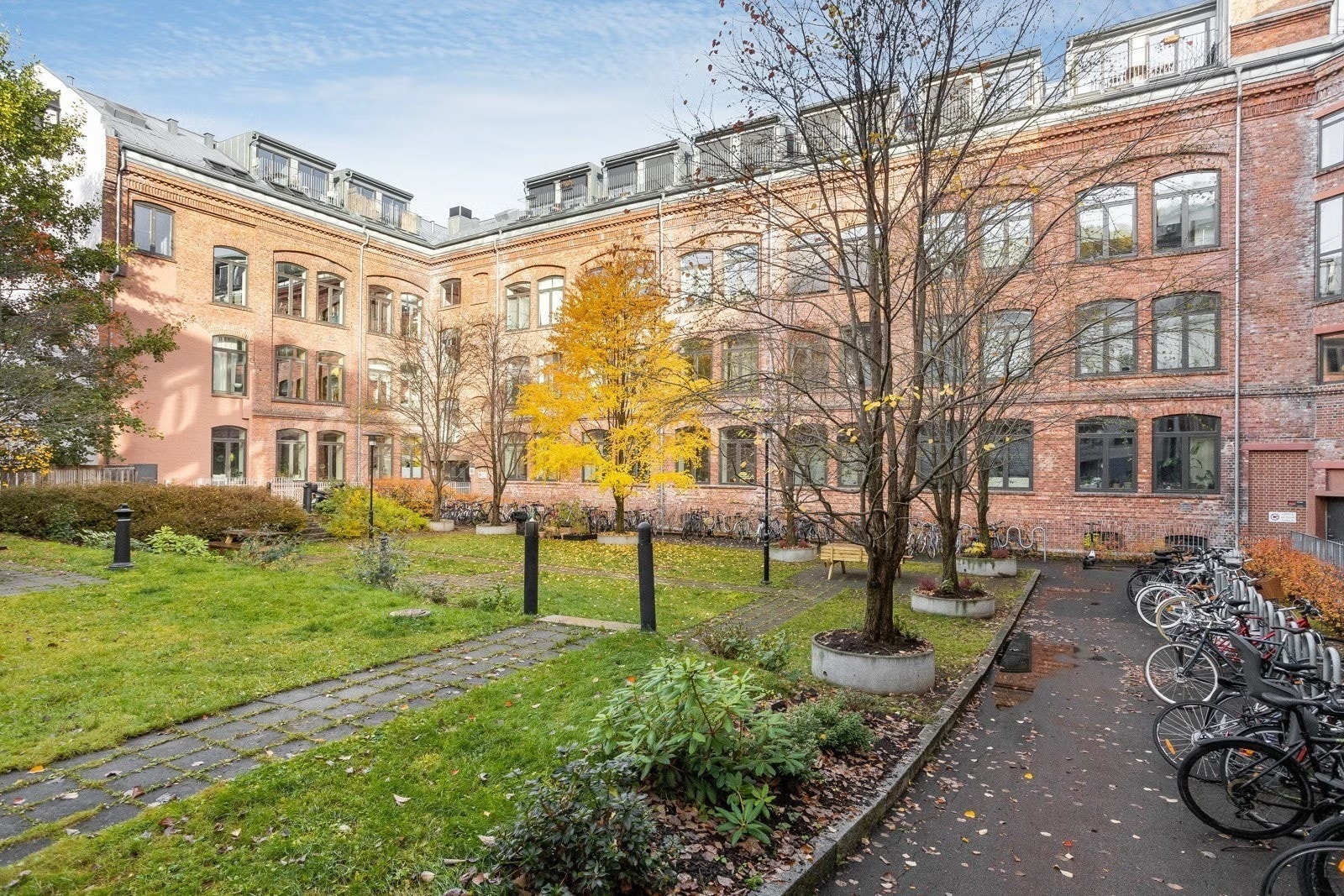 Idyllisk bakgård. Mulighet for å grille på sommeren. Galleribilde