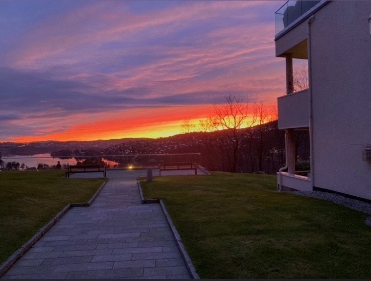 Selgers bilde fra sommeren. Galleribilde