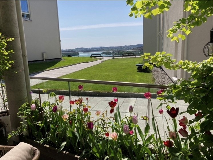 Selgers bilde fra sommeren - utsikt mot Nordåsvannet! Galleribilde