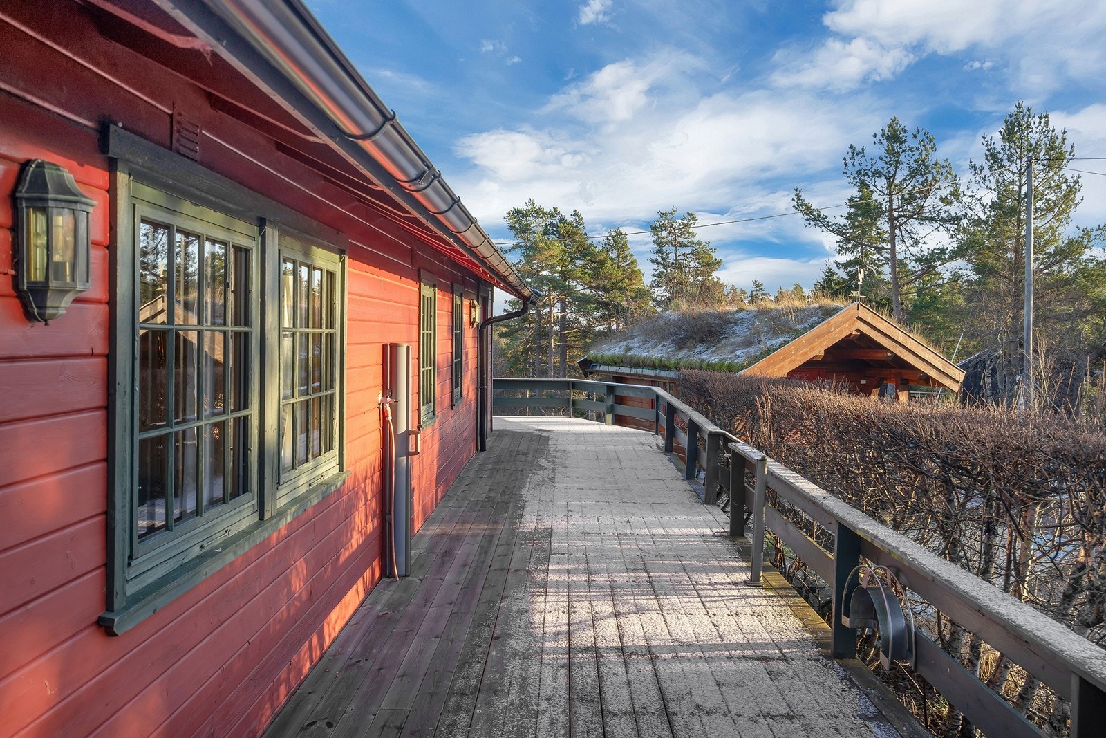 Vannslange utenfor Galleribilde