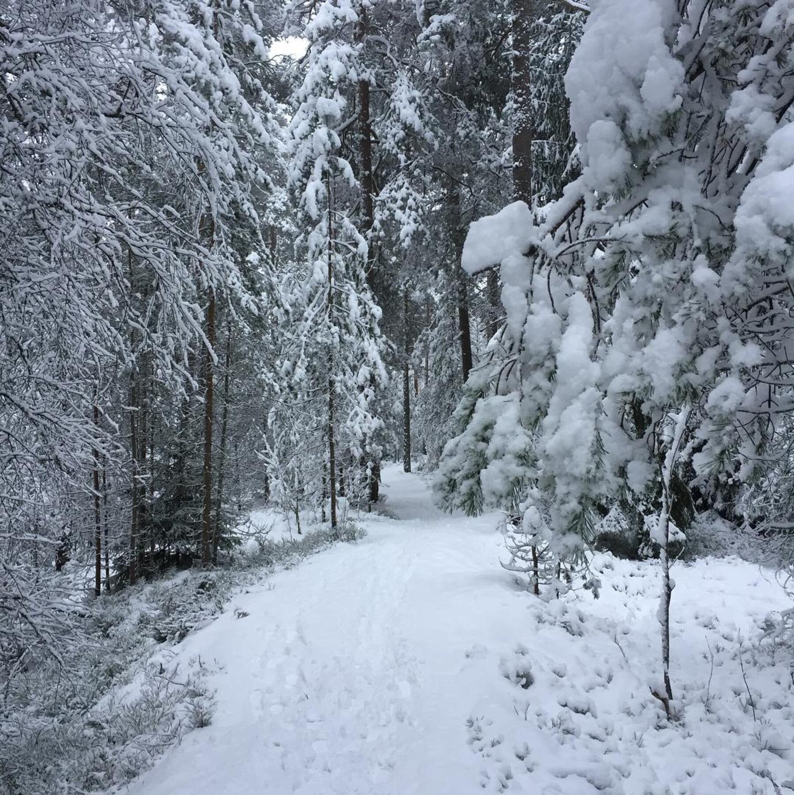 Turmuligheter hele året - selgers bilde. Galleribilde