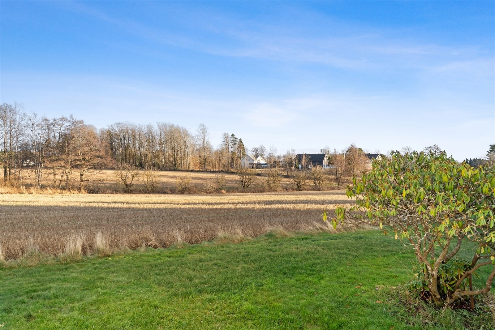 Her kan du nyte morgenkaffen med utsikt over grønne marker og fredelige omgivelser Galleribilde