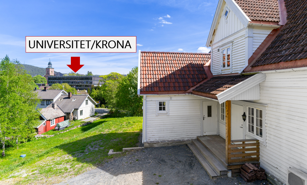 Beste beliggenheten for studenter i Kongsberg. Nabo til Krona. Galleribilde