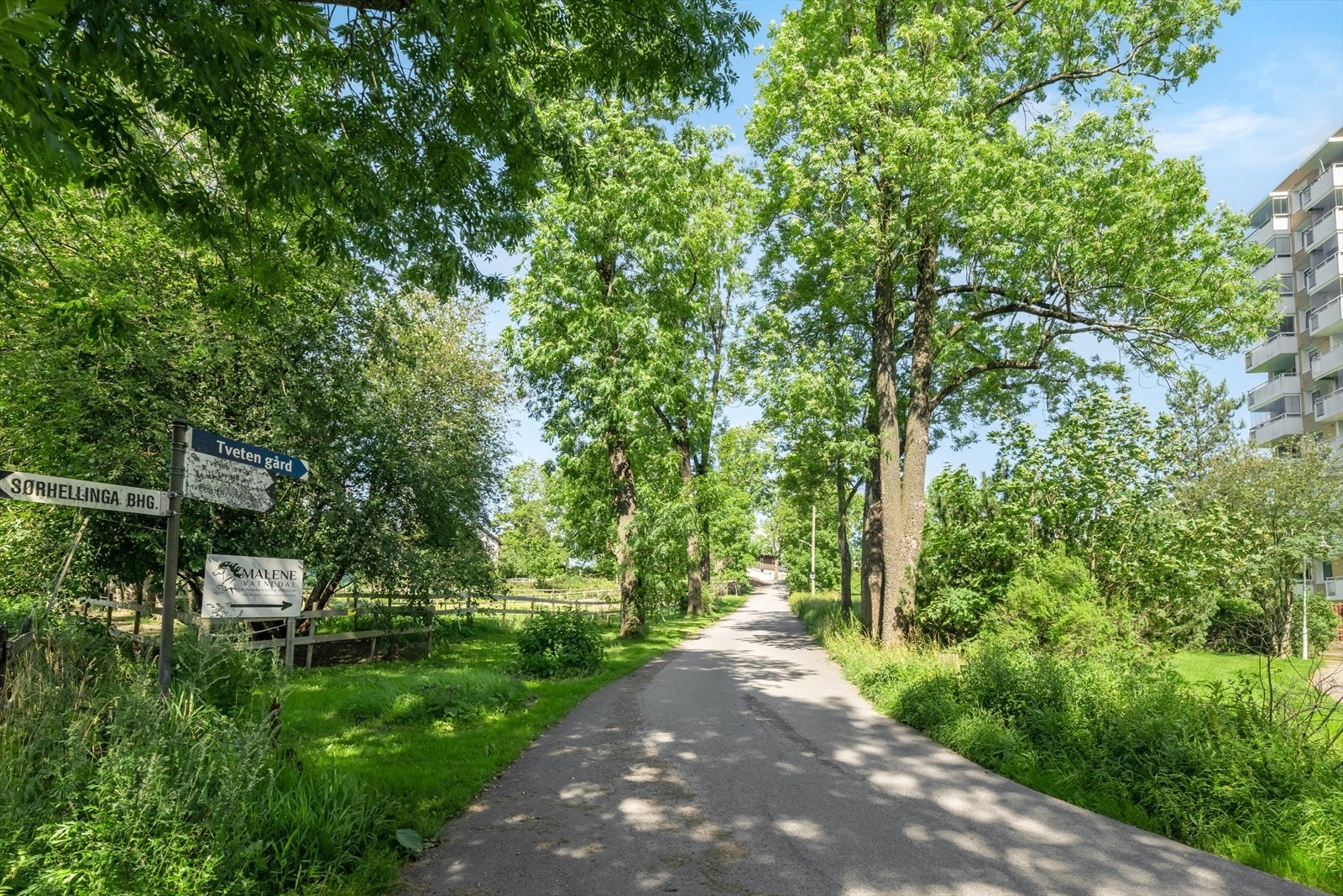Tveten gård kort spasertur unna. Galleribilde