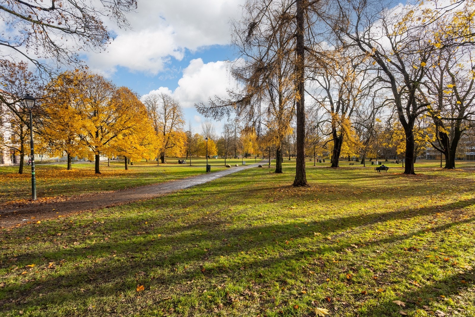 Sofienbergparken ligger rett på andre siden av inngangsporten til Toftes gate 43B Galleribilde