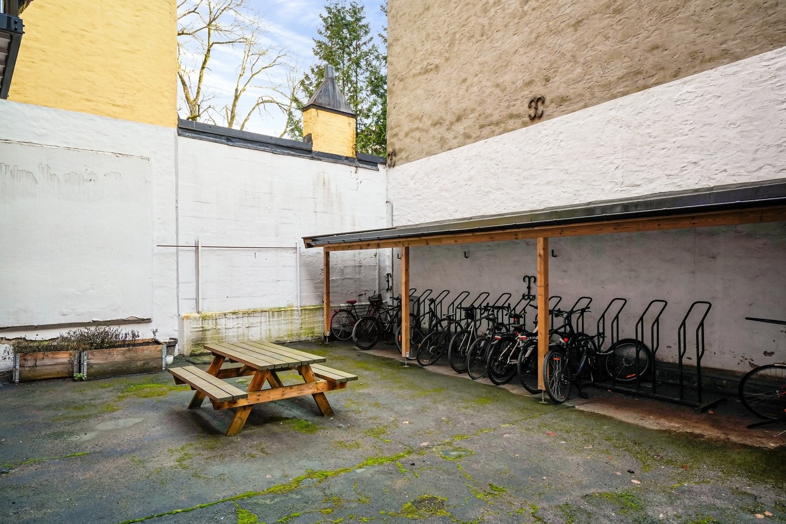 Hyggelig bakgård med sykkelparkering, beplanting og sitteområde. Galleribilde