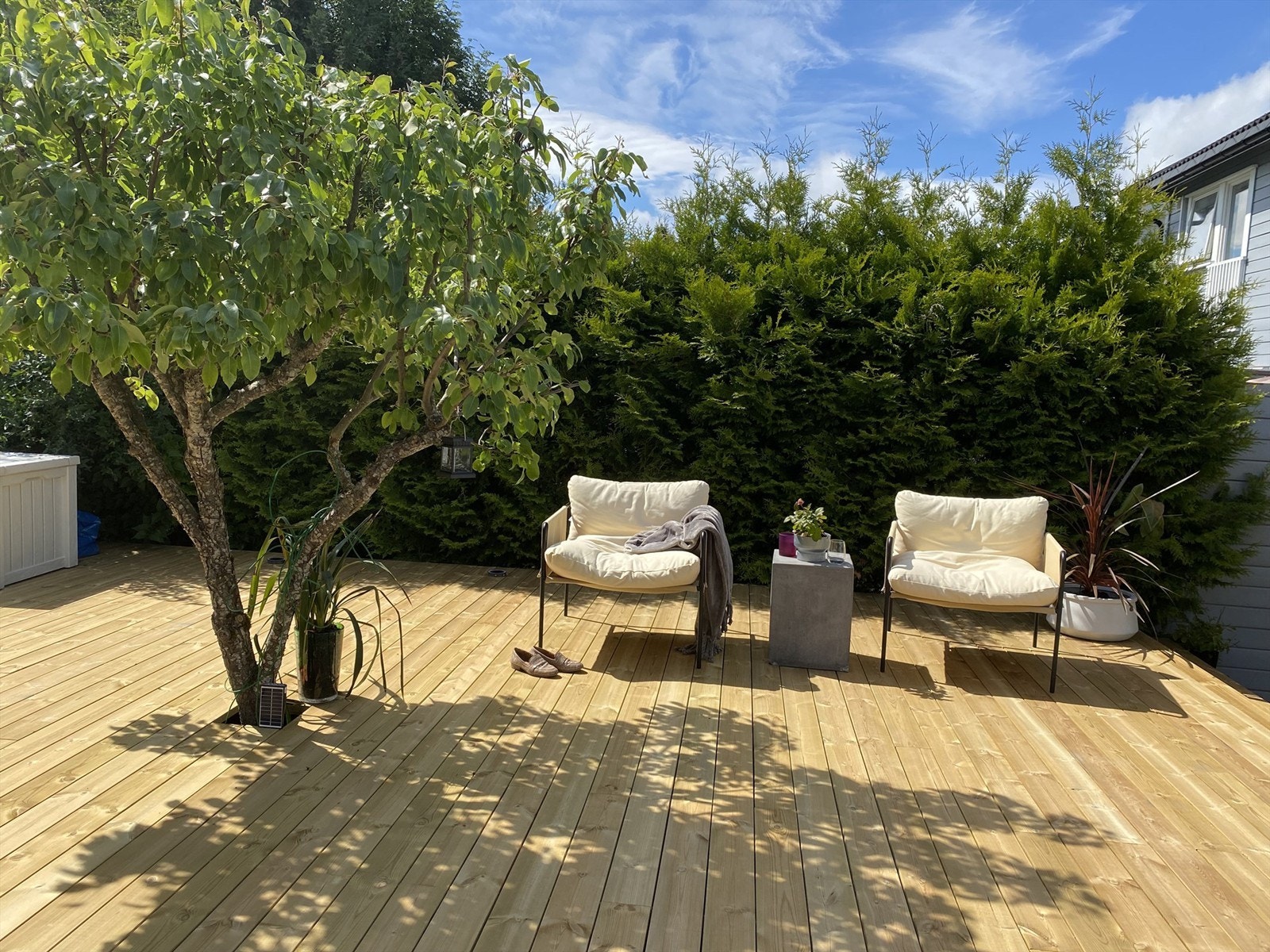 Terrasse/platting (sommerbilde) - Selgers bilde Galleribilde