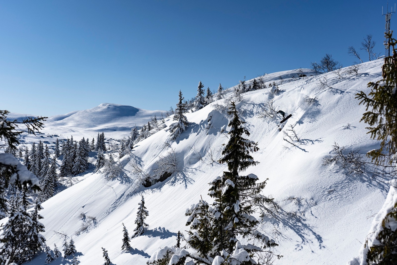 Høgevarde er kjent for gode og snøsikre forhold - et riktig puddermekka! Galleribilde