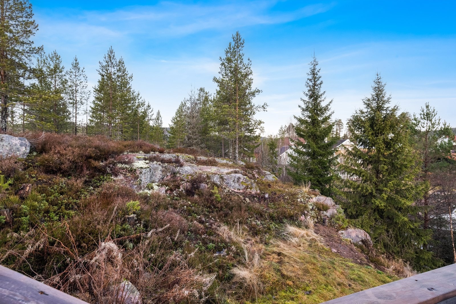 Eiendommen grenser til friareal Galleribilde