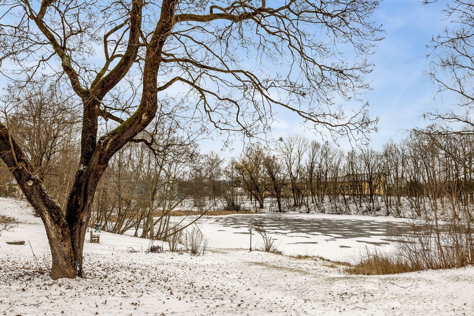 For trening er det 9 minutters gange til SATS Hoff og 20 minutter til SATS Sjølyst. Hoffsdammen rett utenfor døren og Frognerparken i nærheten gir et bredt utvalg av aktiviteter og naturopplevelser i hverdagen. Galleribilde