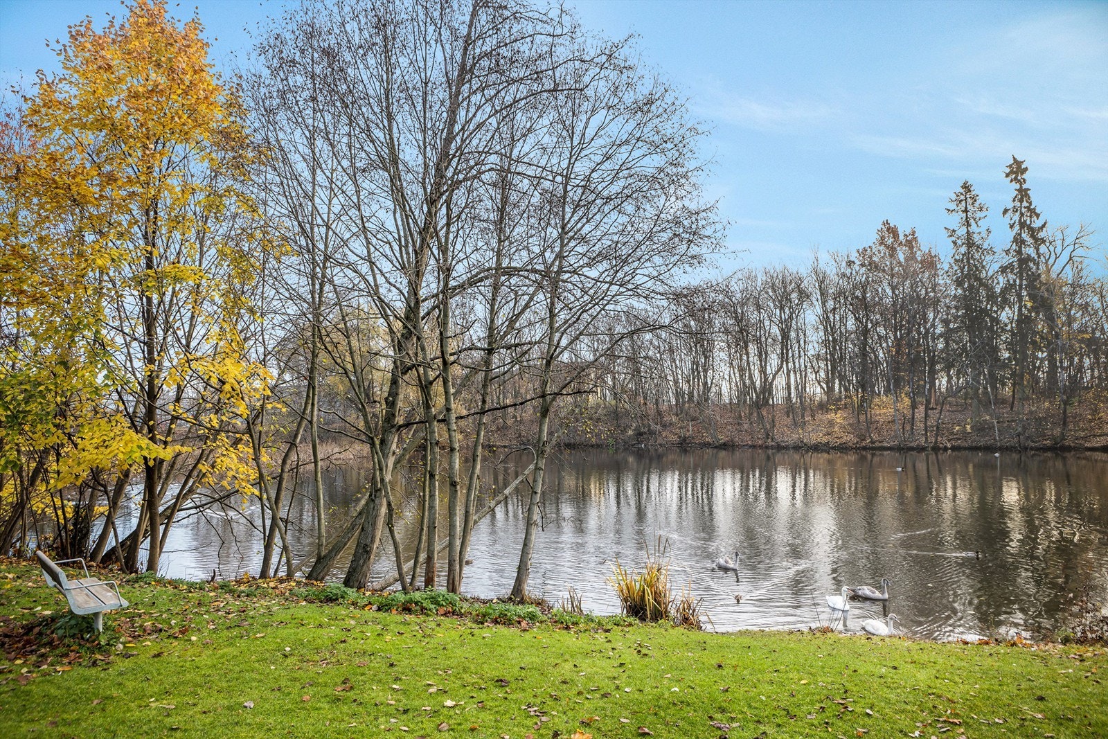 Aksjelaget ligger rett ved Nedre Smestaddammen Galleribilde
