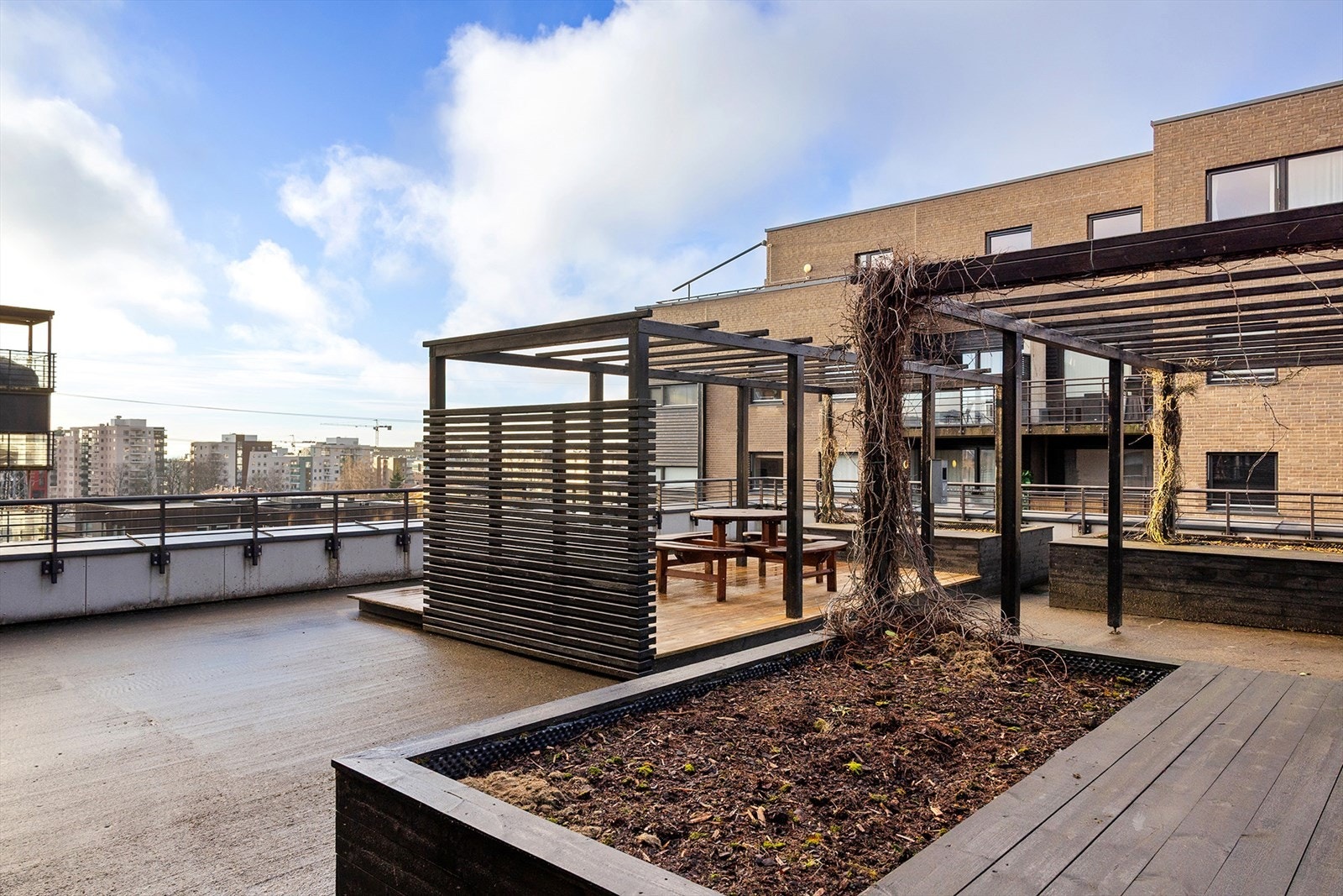 Felles takterrasse. Galleribilde