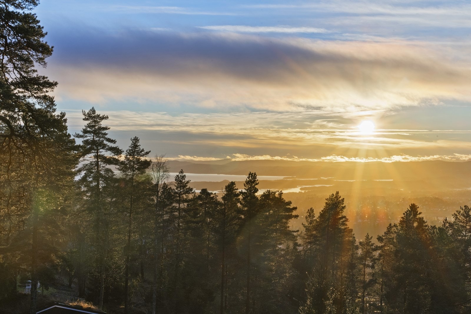 Utsikt. Galleribilde