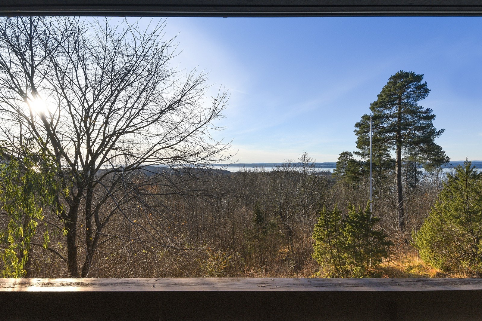 Tomten grenser mot friområde i front. Galleribilde