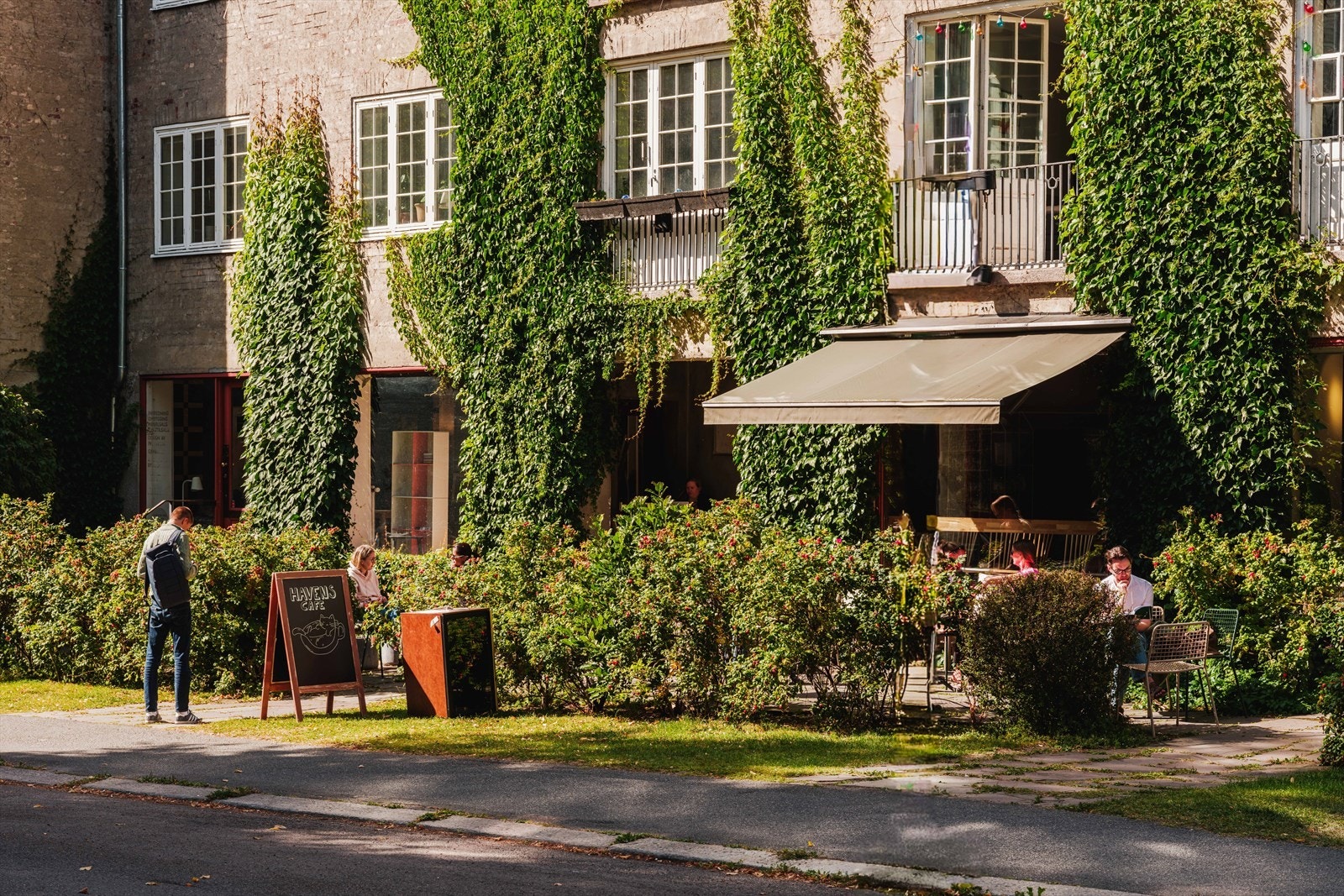 Hyggelige Havens Kafe ca. 50 meter fra leiligheten. Galleribilde