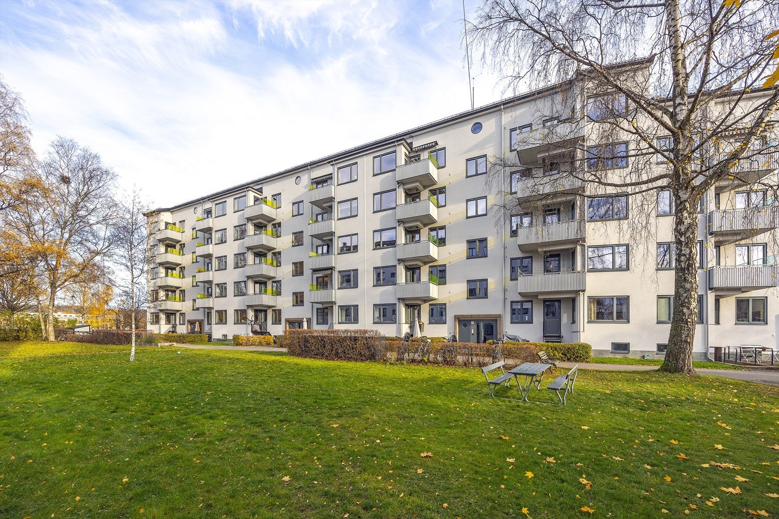 Uteområdet er frodig og grønt med sitteplasser og beplanting. Galleribilde