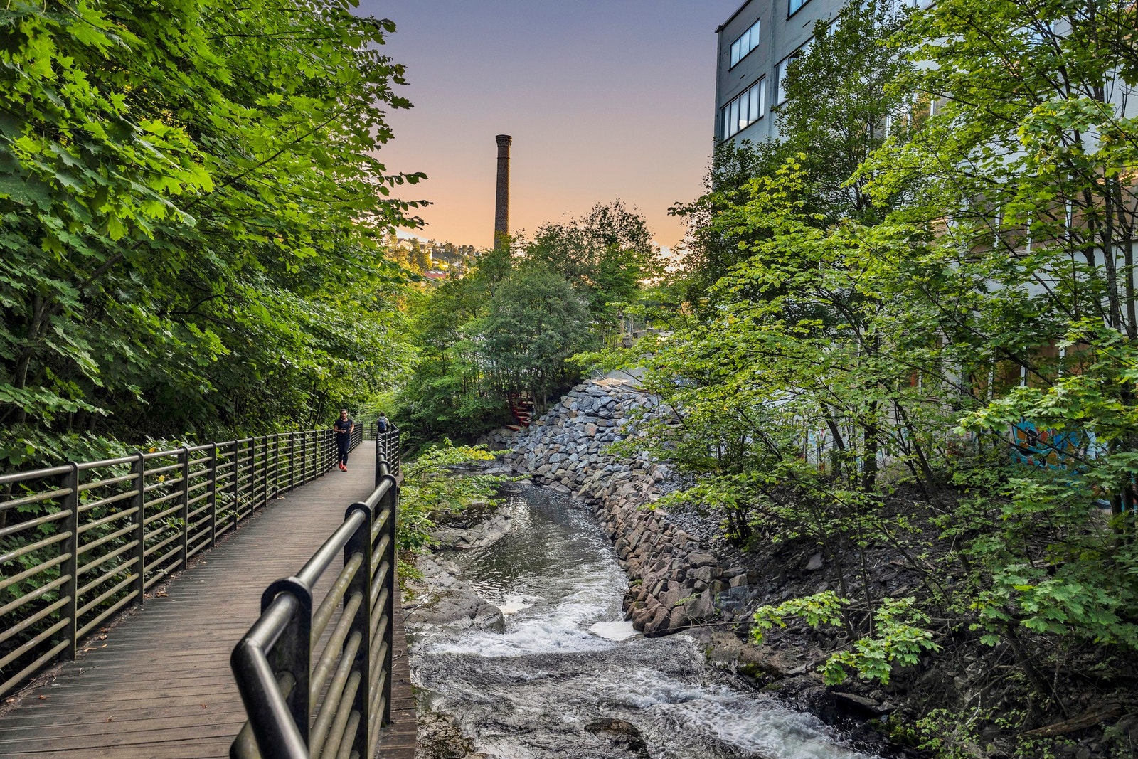 - Alnastien i urskogen Svartdalen byr på flotte turmuligheter like i nærheten - Galleribilde