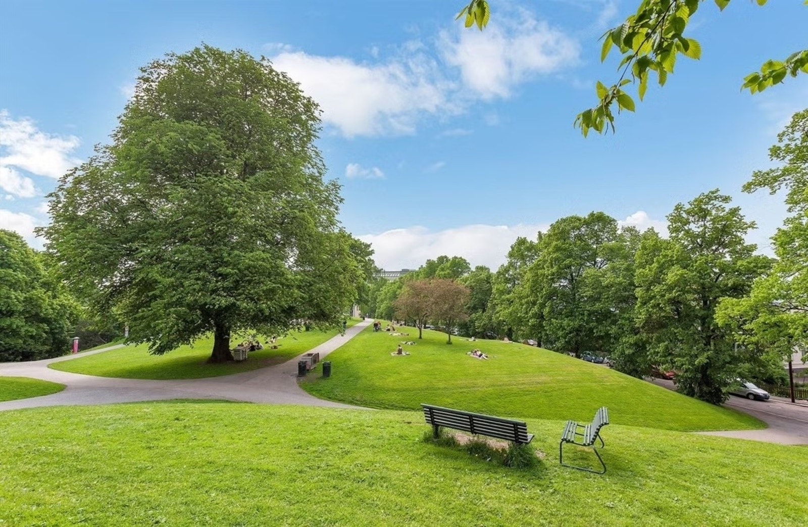 Nærområde - Stensparken. Galleribilde