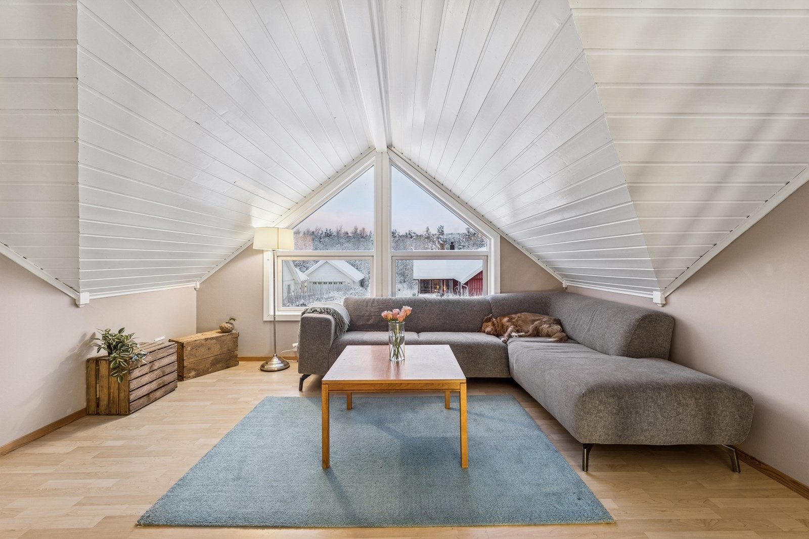 Store vinduer gir tilgang til en flott utsikt. Galleribilde