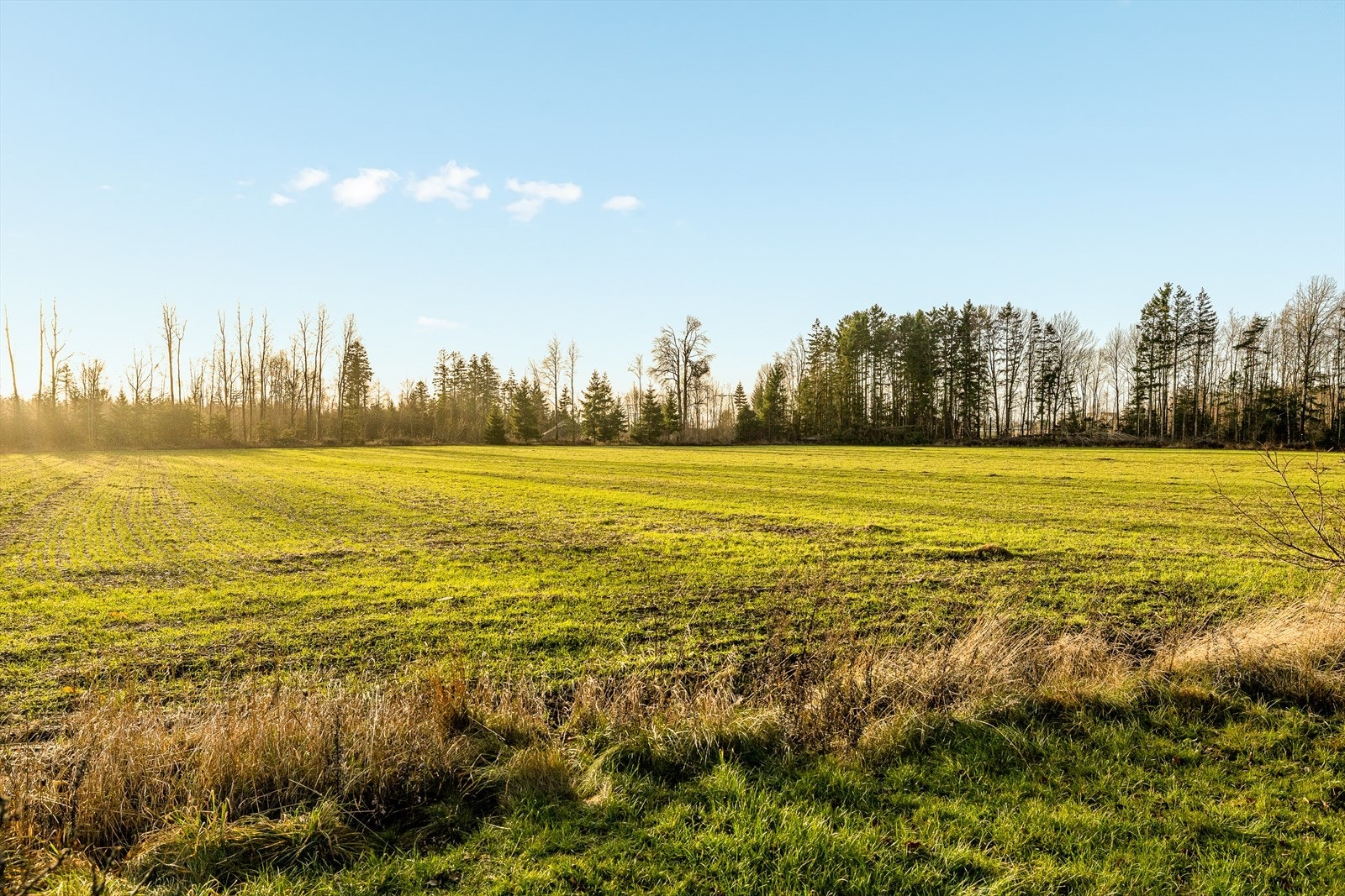 Løveskogen 11 består av tomt på ca. 21 968 m² Galleribilde