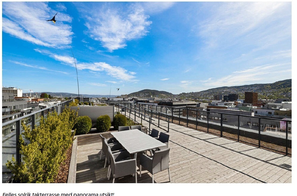 Felles Takterasse på solrik dag med gode sitteplasser og toilett Galleribilde
