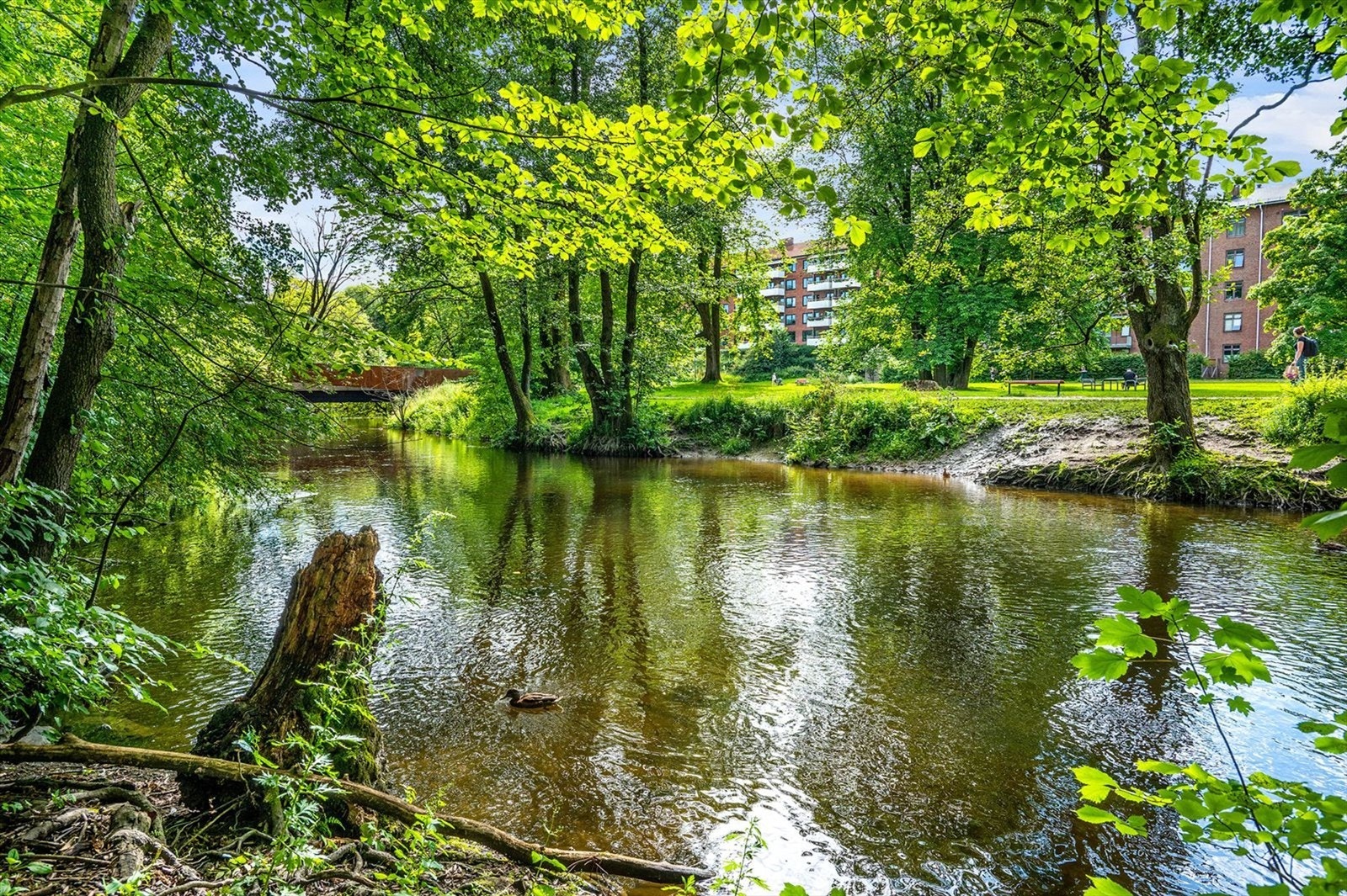 Akerselva ligger i umiddelbar nærhet, og er en perfekt grønn lunge midt i byen. Galleribilde
