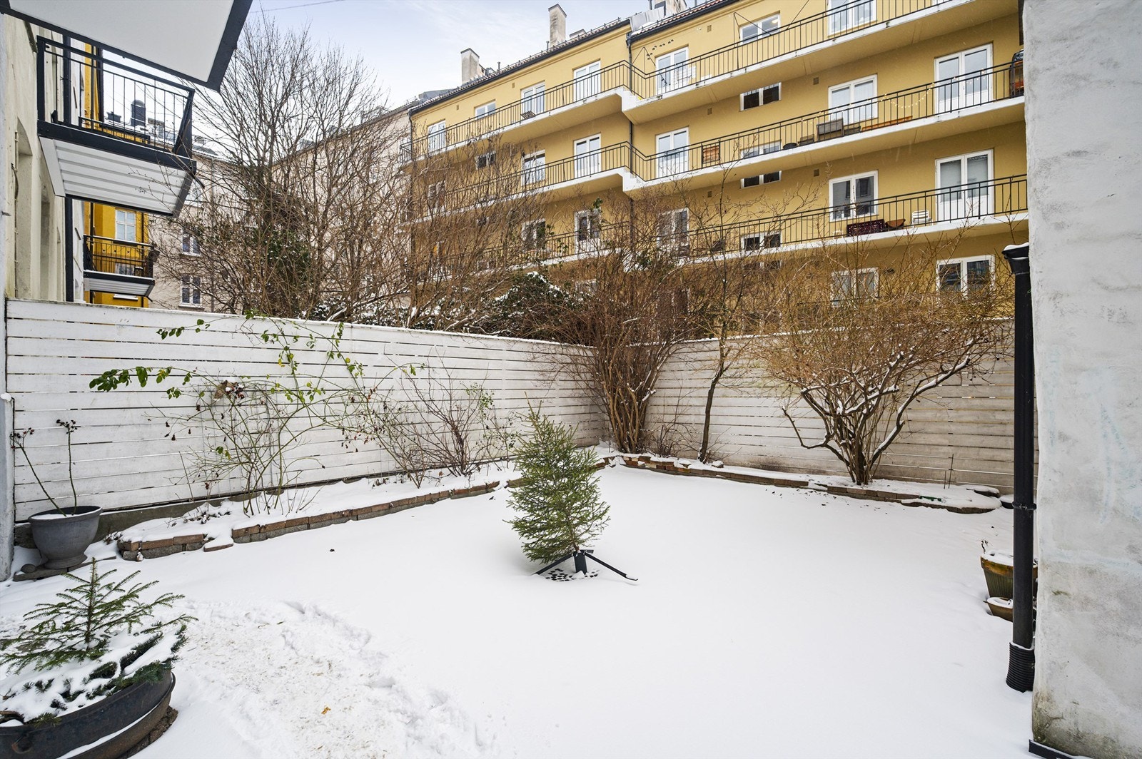 Trivelig og rolig bakgård. Galleribilde