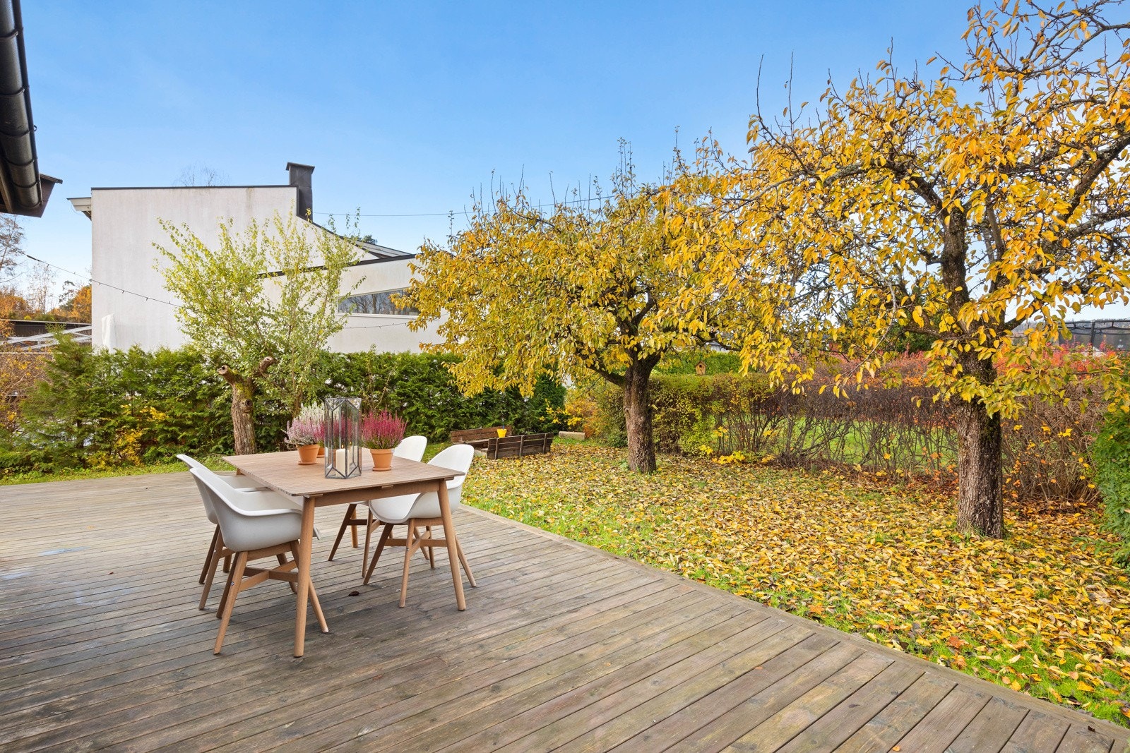 Planert nivå på baksiden av huset som er opparbeidet med grøntarealer og skjermet hage med pære- og plommetrær samt stor terrasse. Galleribilde