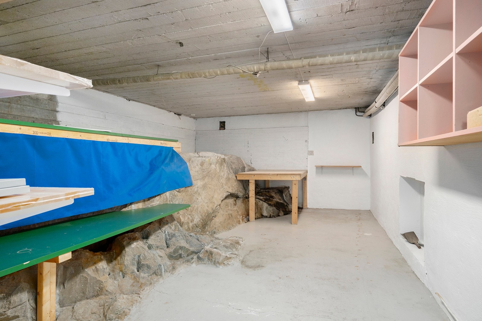 Delvis krypkjeller. Galleribilde