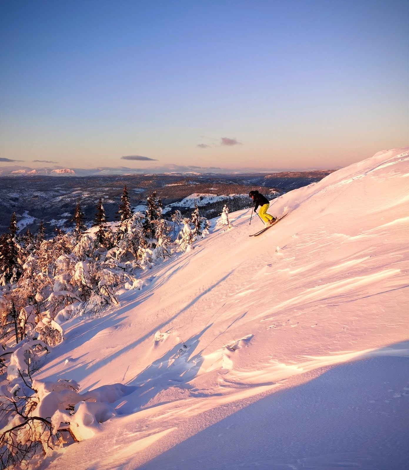 Nesfjellet Alpin Galleribilde