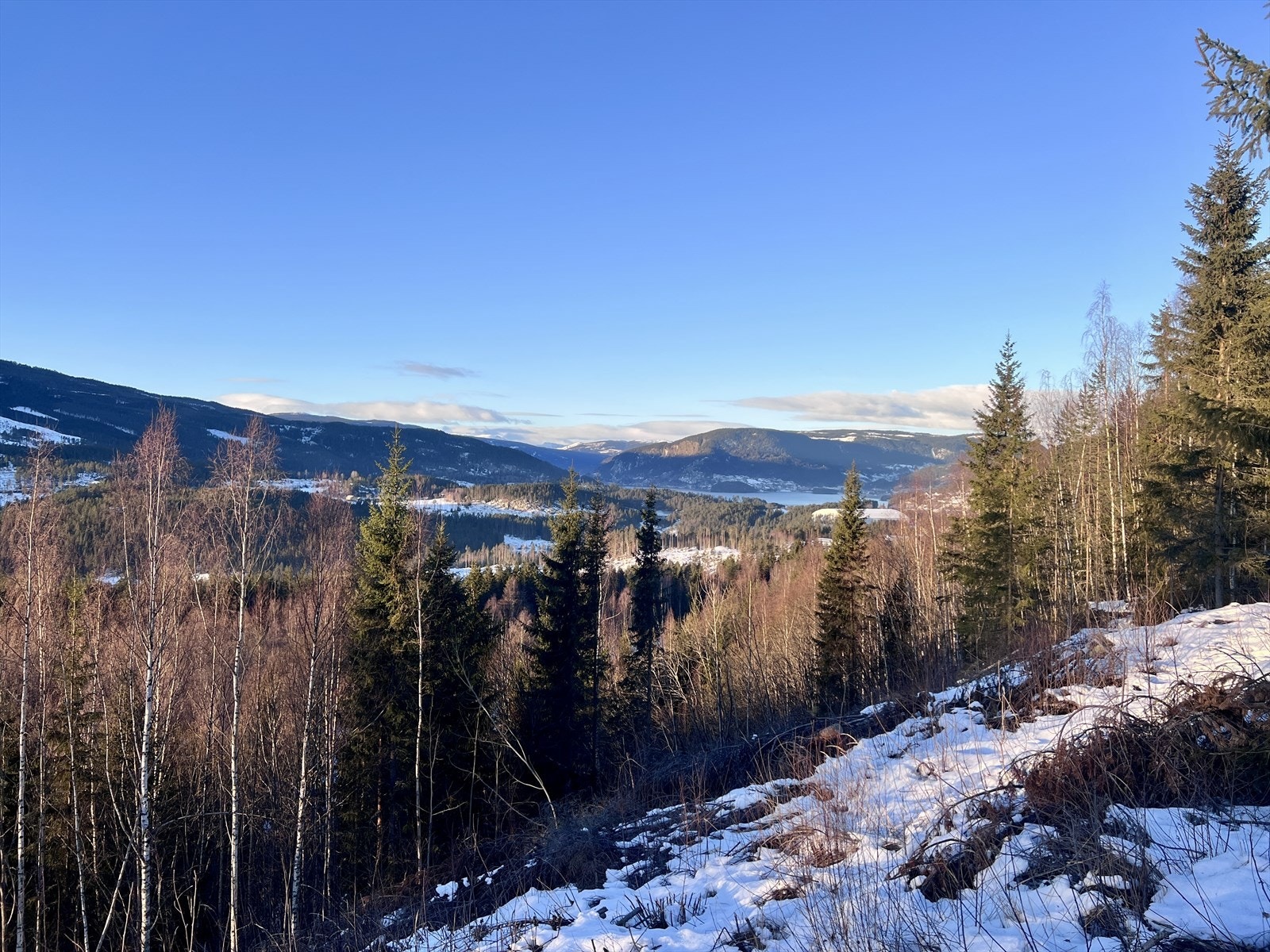 Vinterbilde tatt av eiendomsmegler 30.12.2025 Galleribilde