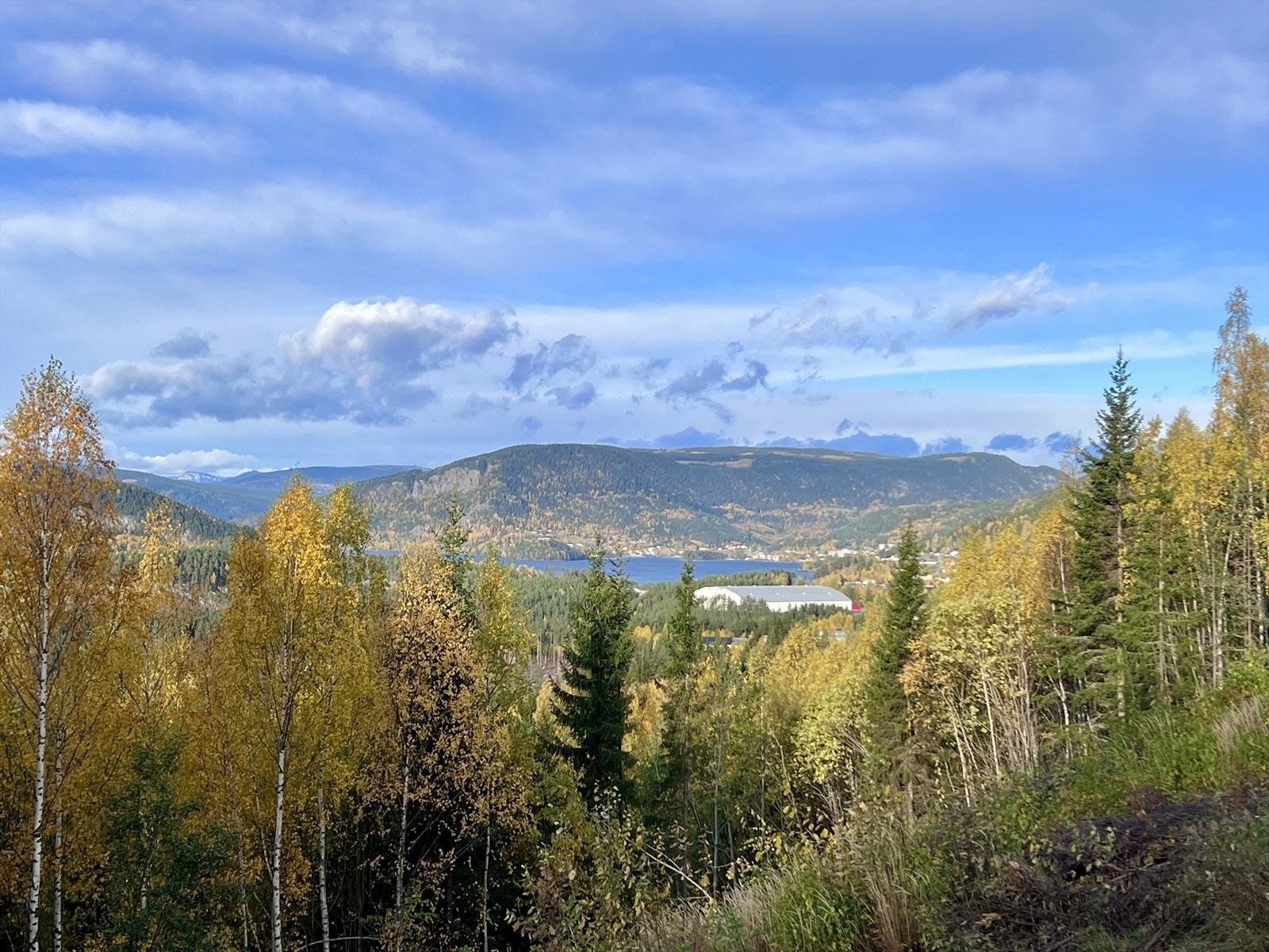 Bilde tatt av eiendomsmegler 09.10.2025 - Utsikt fra verandaen på soverommet. Galleribilde
