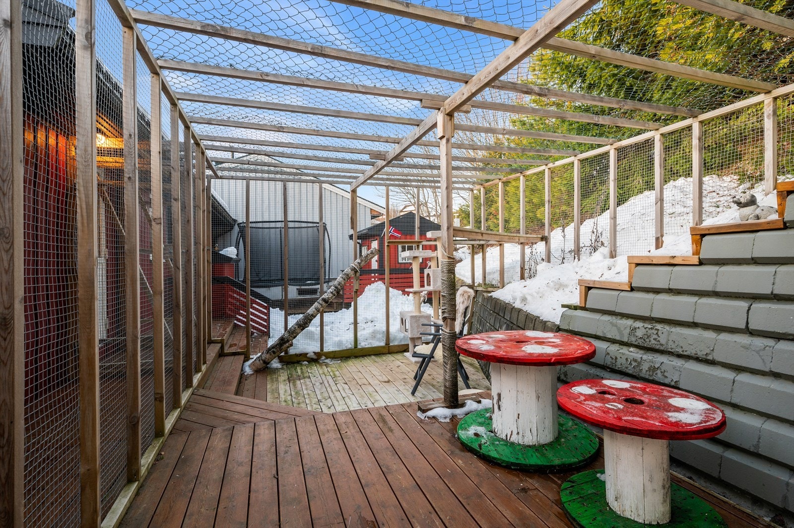 Selger har etablert kattegård 2022. Kan tas ned ved overlevering om ønskelig Galleribilde