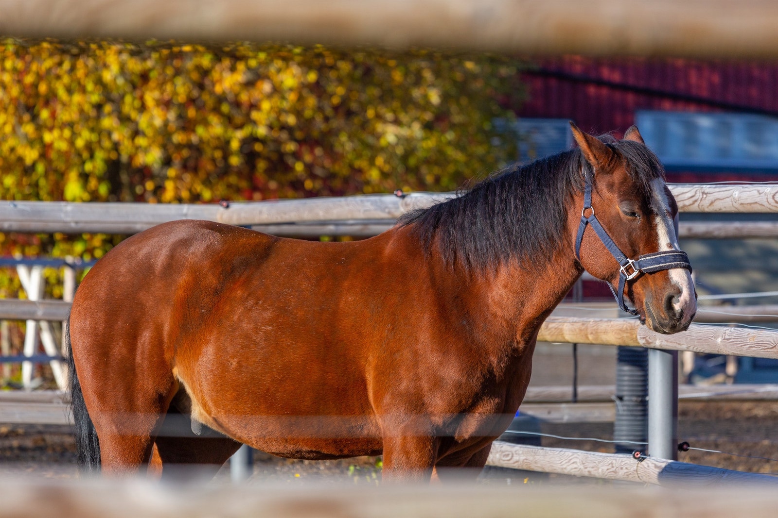 Øvre Fossum Gård Galleribilde