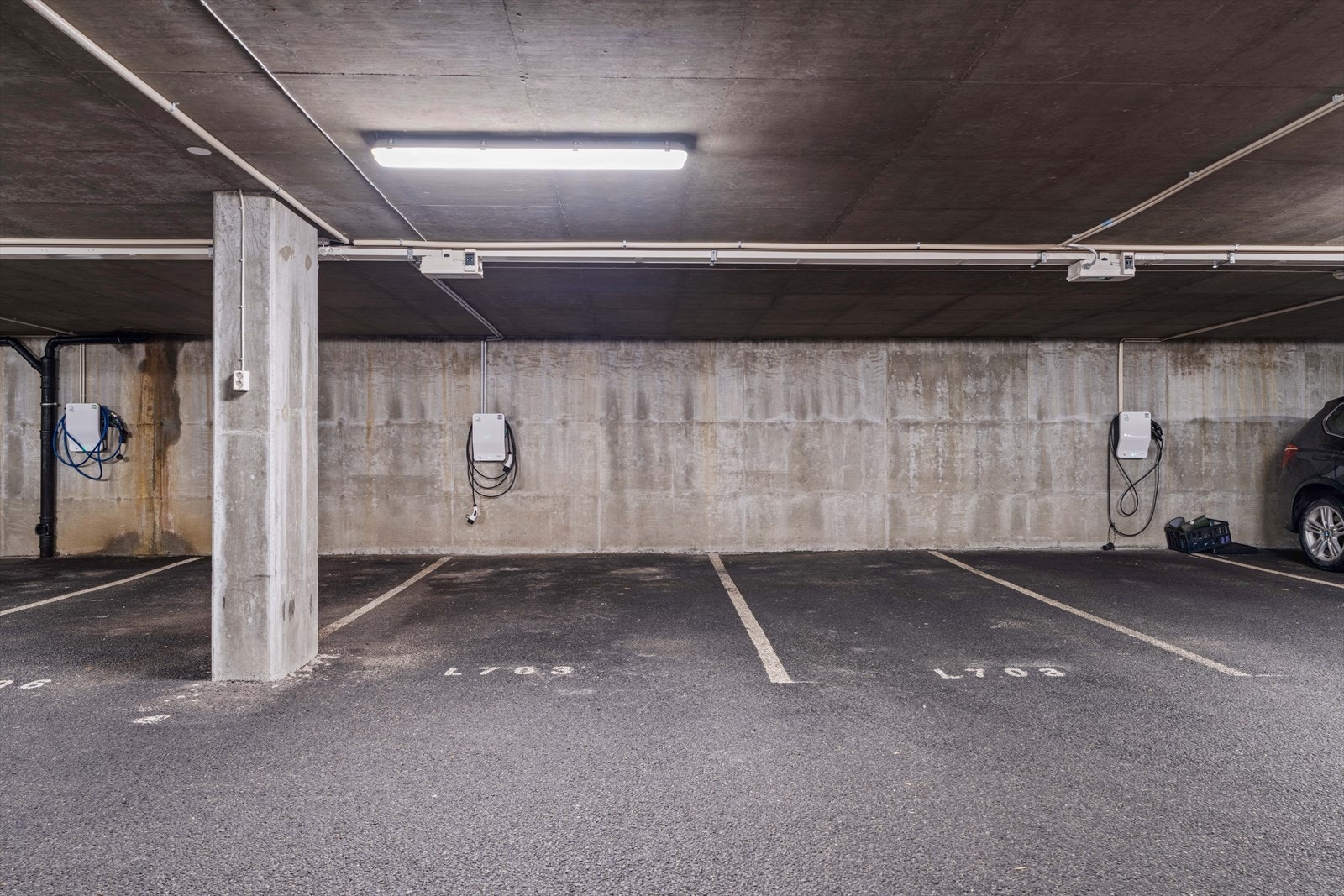 MNF07219.jpg Galleribilde