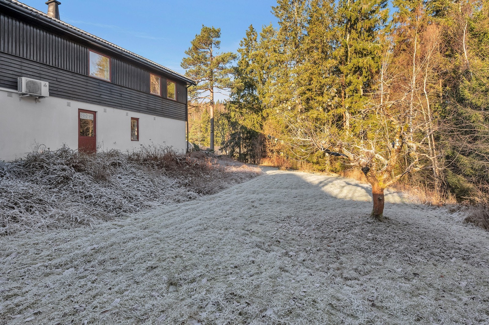 Tomten er stor og grenser til naturen. Galleribilde