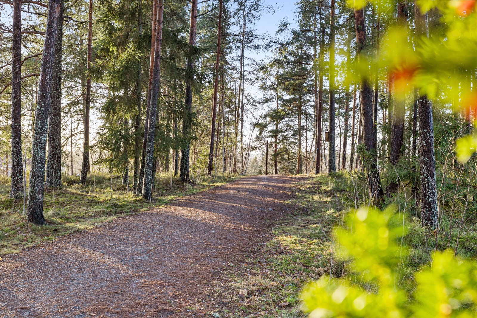 Eiendommer ligger i kort gangavstand til Vassbonn barneskole. Fra boligen kan du gå bilfritt gjennom stien og helt ned til skolen. I tillegg ligger Ingieråsen ungdomskole noen få hundre meter fra skolen Galleribilde