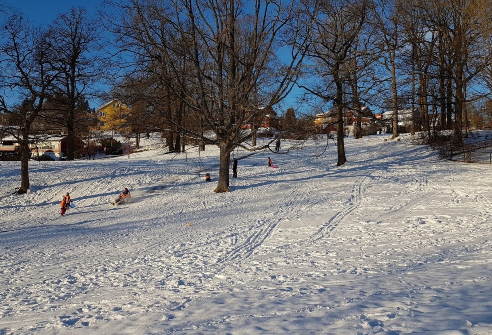Det er kort gangavstand til friområder som Damefallet og Havnabakken, samt kort vei til Nordmarka. Galleribilde
