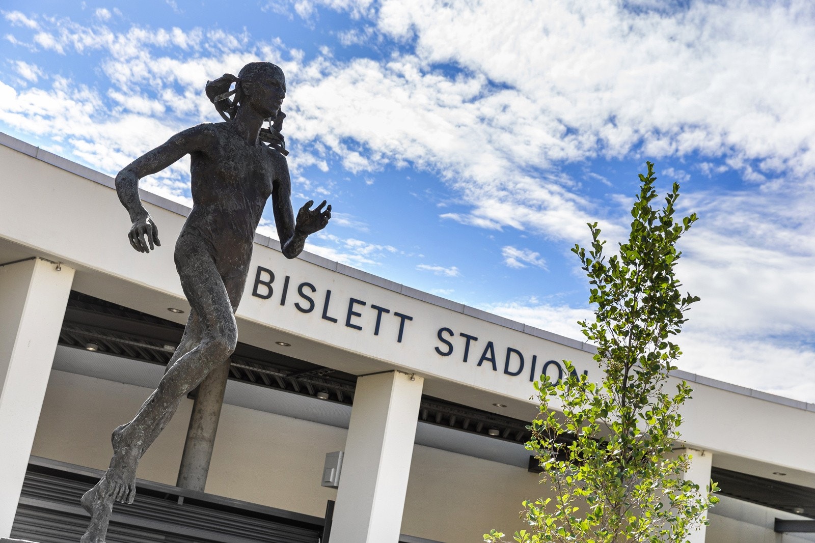 Det er umiddelbar nærhet til bymessige fasiliteter, flere treningssentre, samt flotte tur- og rekreasjonsområder Galleribilde