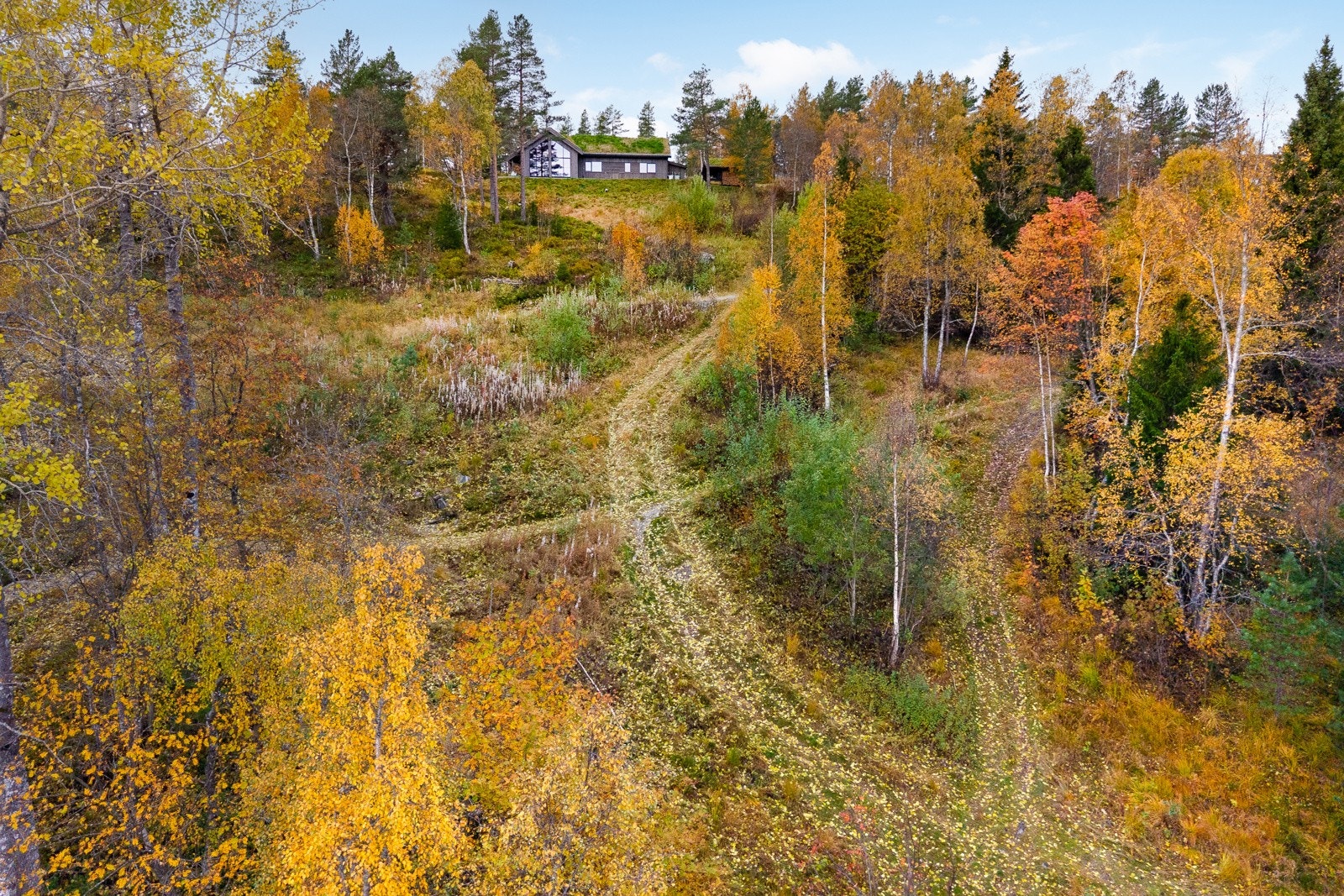 Adkomst på sti fra felles parkeringsplass og ned til hytta Galleribilde