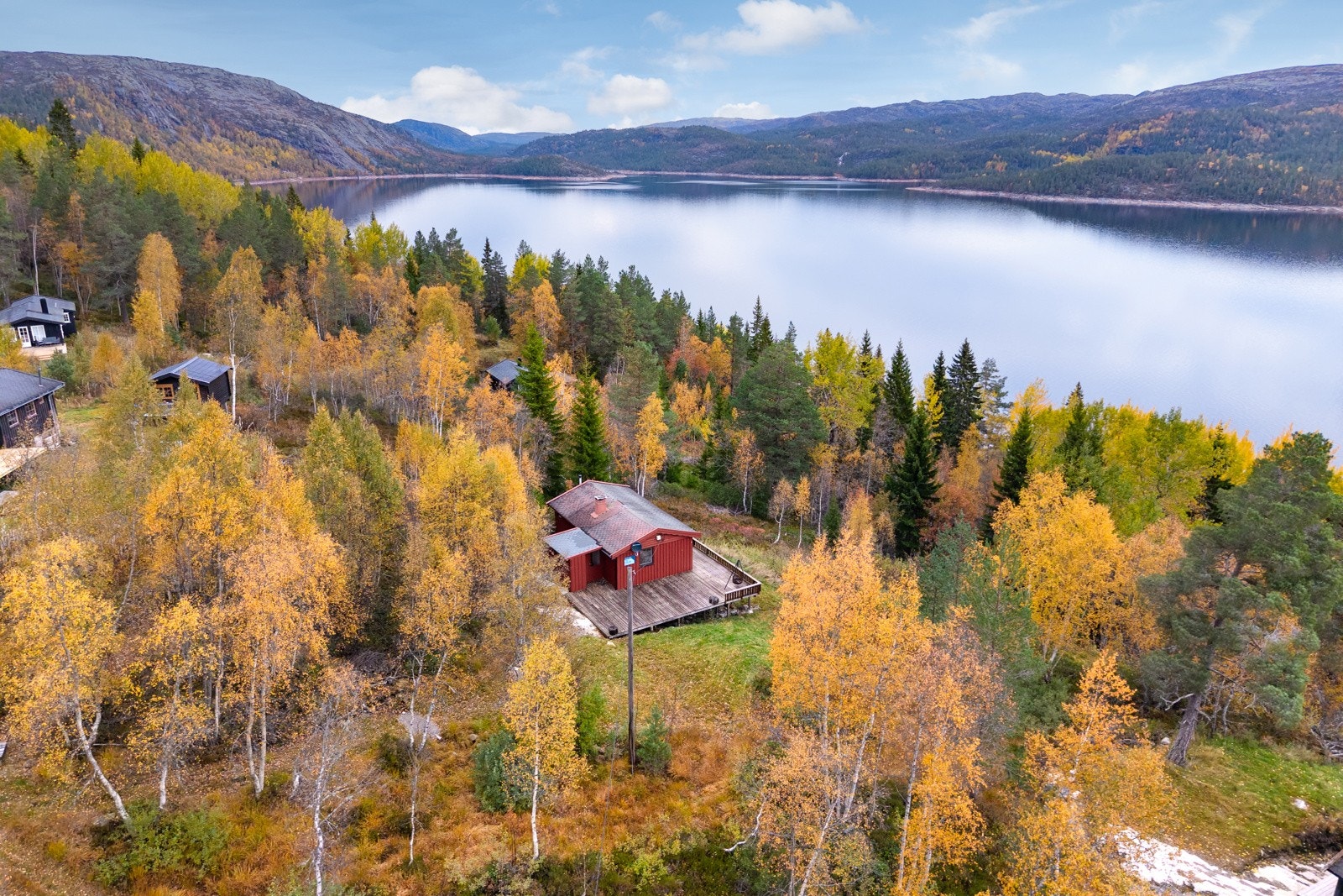 Velkommen til Hesteholun 5! Galleribilde
