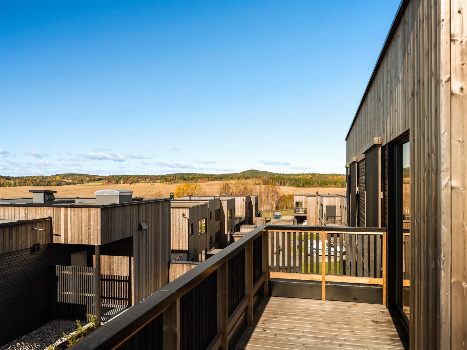 Takterrasse Galleribilde