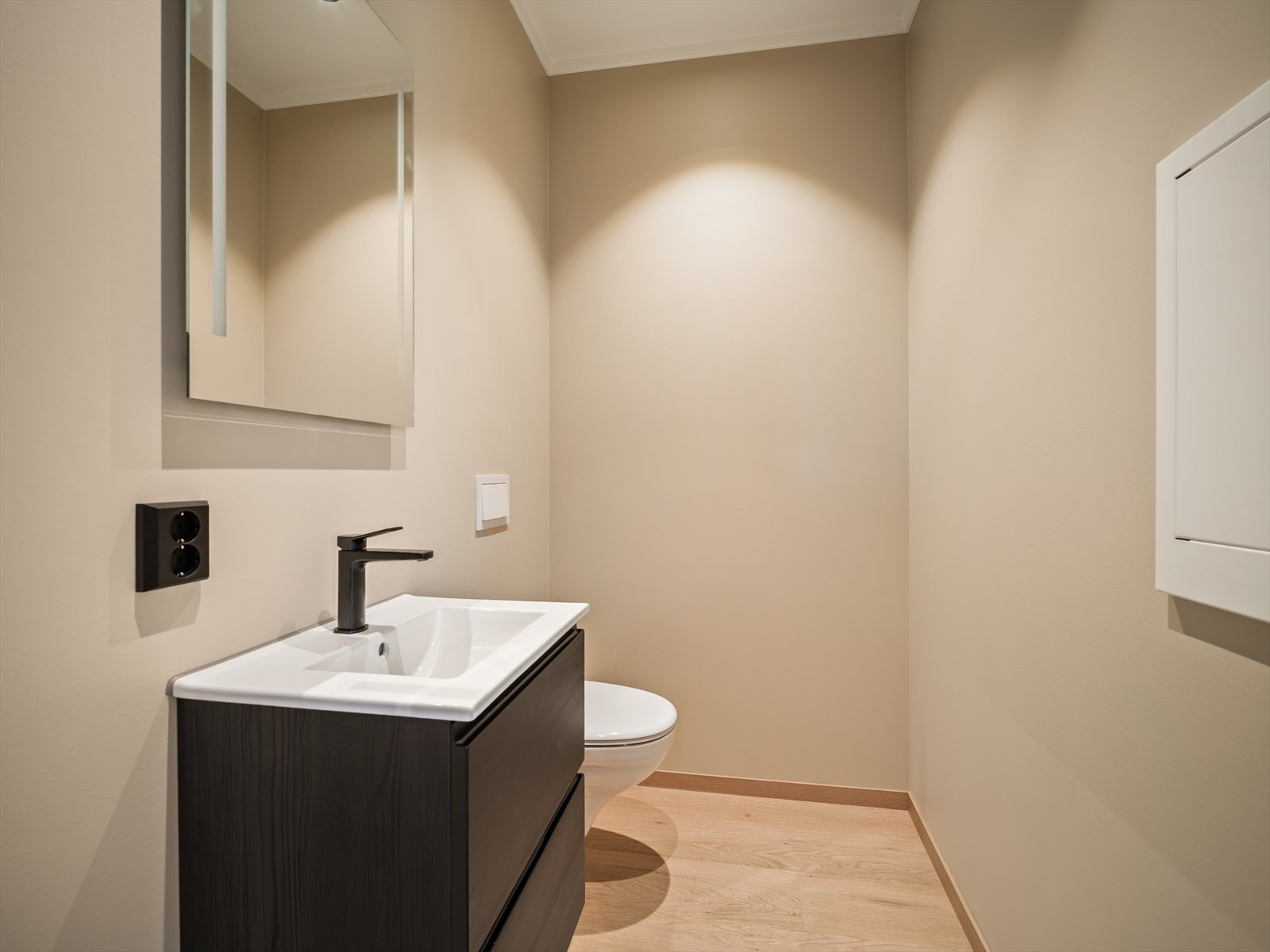 Toalett Galleribilde