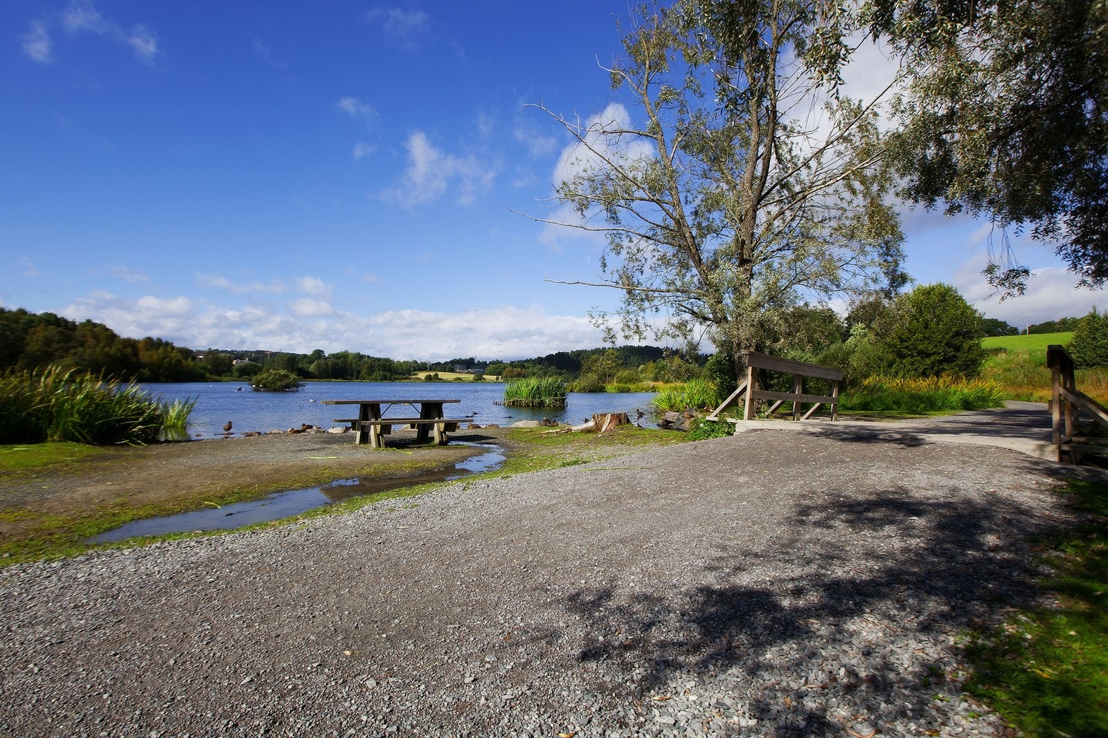 Østensjøvannet. Galleribilde