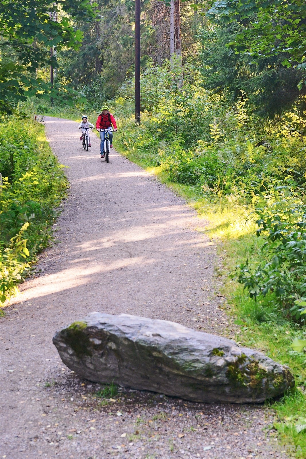 Fine turstier ved Østensjøvannet. Galleribilde