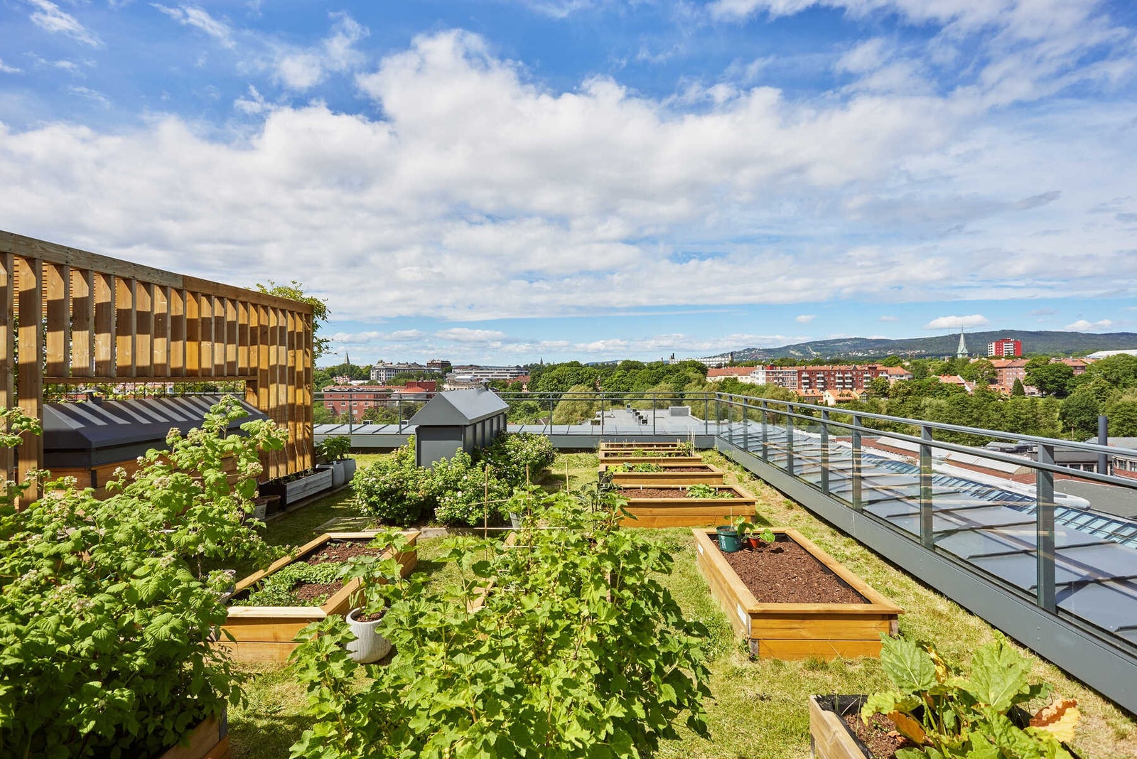Som beboer har man tilgang på en fantastisk takterrasse med nydelig utsikt og sol hele dagen. Galleribilde