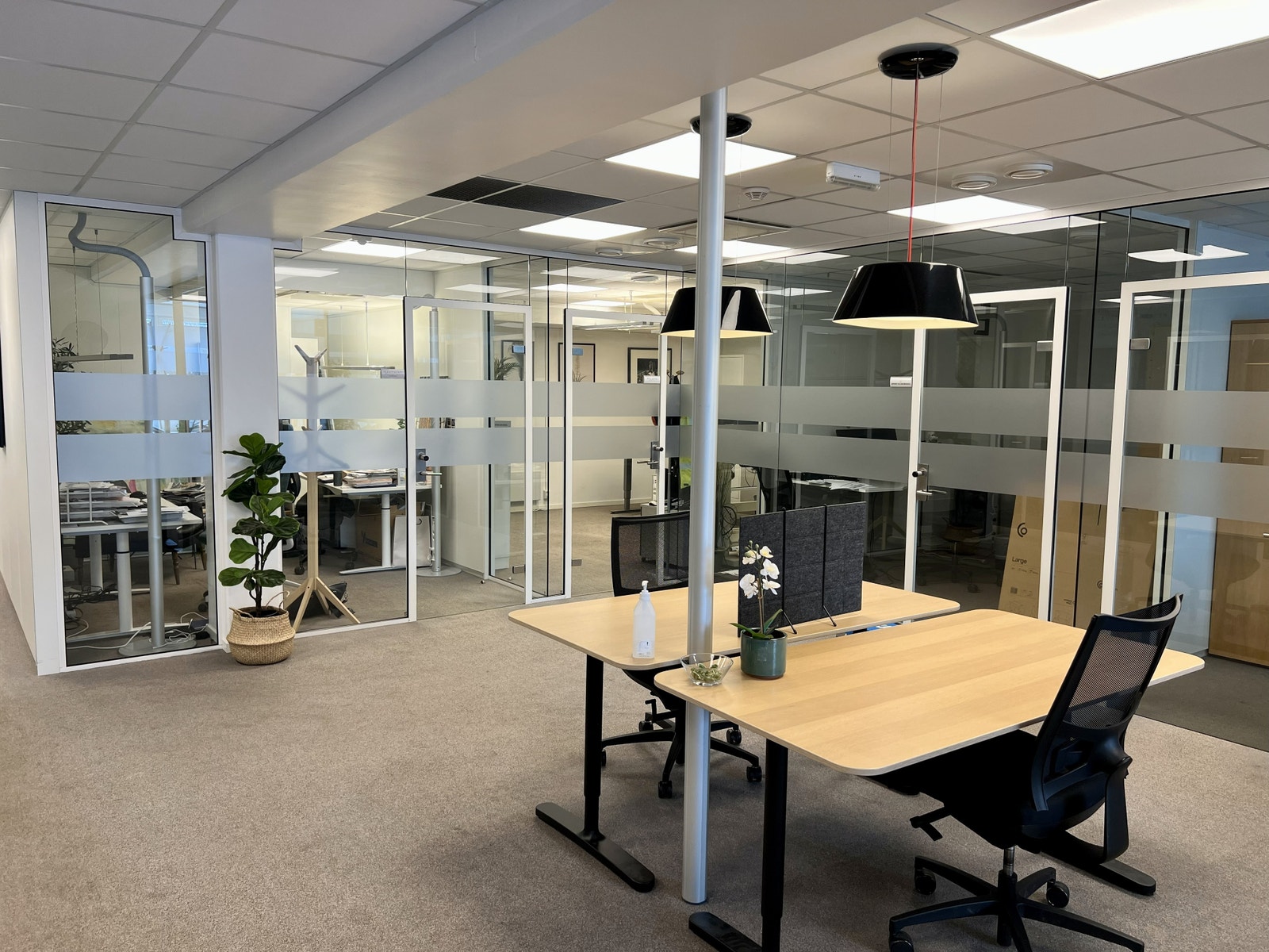 Fellesareal Galleribilde