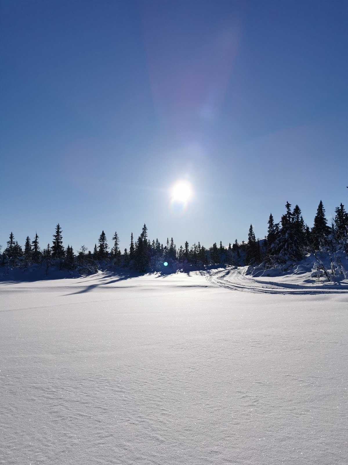 Vinterbilde fra skiløypen tatt av selgerne Galleribilde