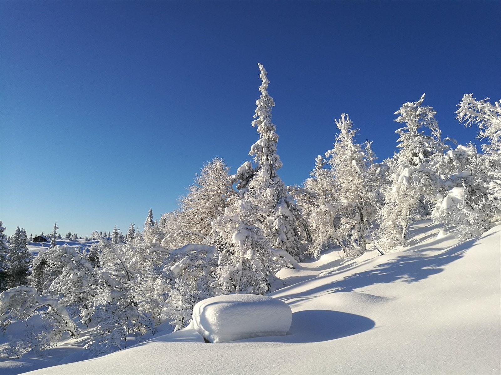 Vinterbilde tatt av selgerne Galleribilde